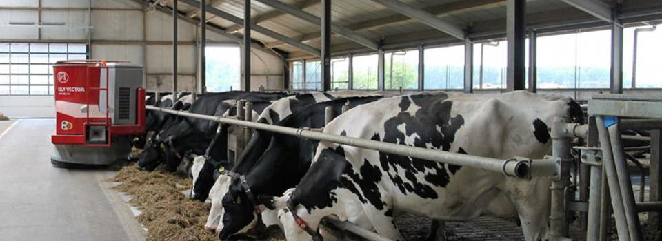 Boerderij Het Lansingerland