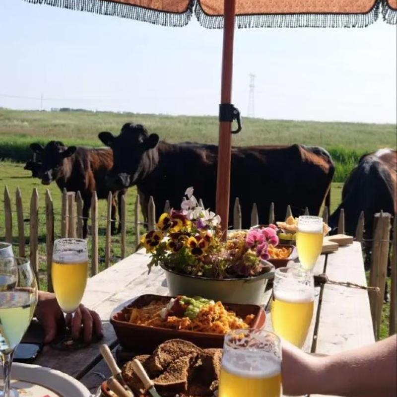 Boerderij De Koeienstal