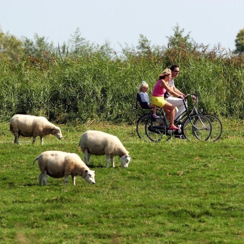 Rondje Lansingerland