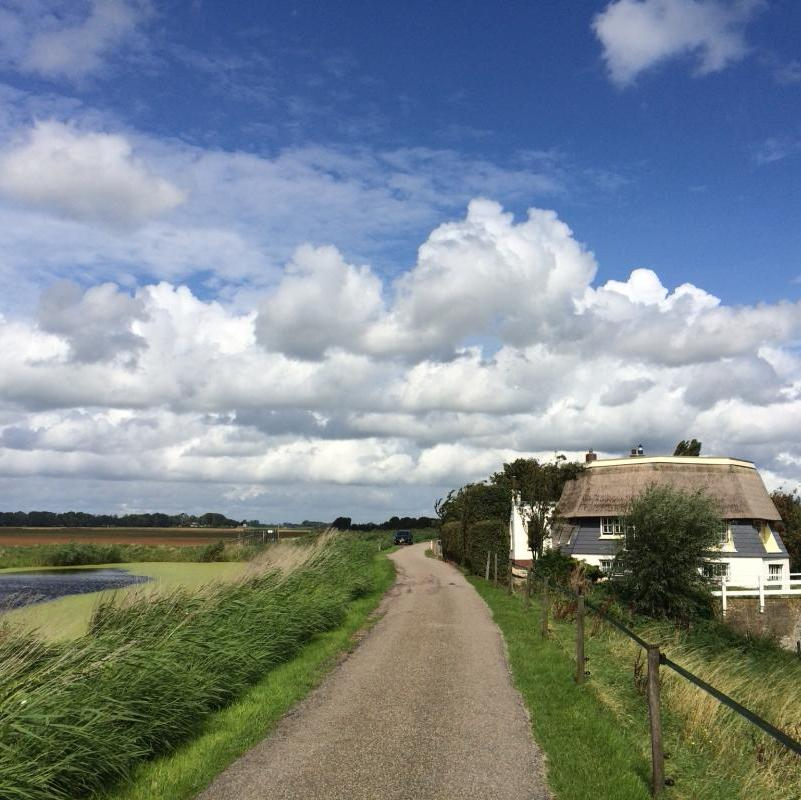 Ontdek de Oorsprong van de Rotte