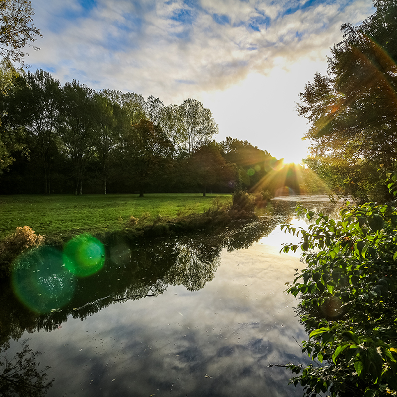 Hooglander Lage Bergse Bos