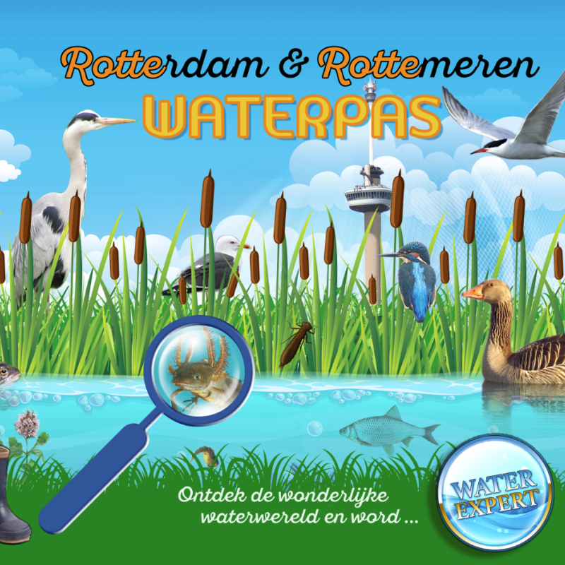 ROTTErdam Waterpas