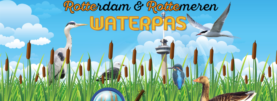 ROTTErdam Waterpas