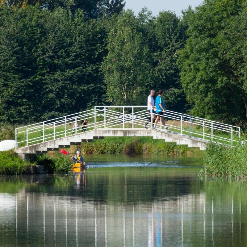 Rondje Hoge Bergse Bos