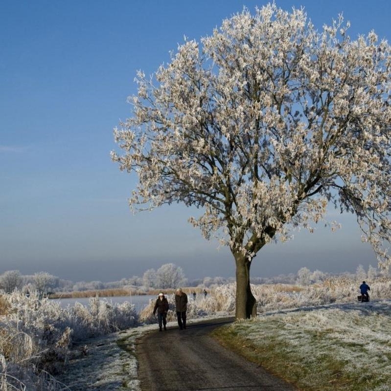 Wandelen langs de Rotte met vorst