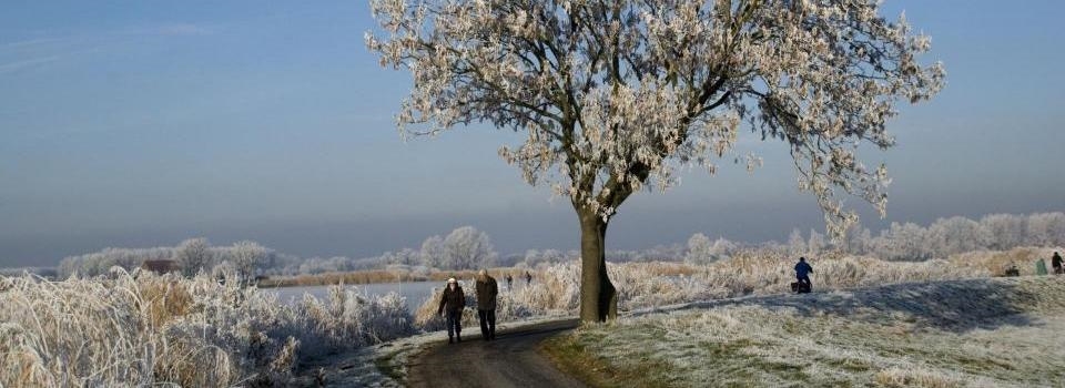 Wandelroutenetwerk