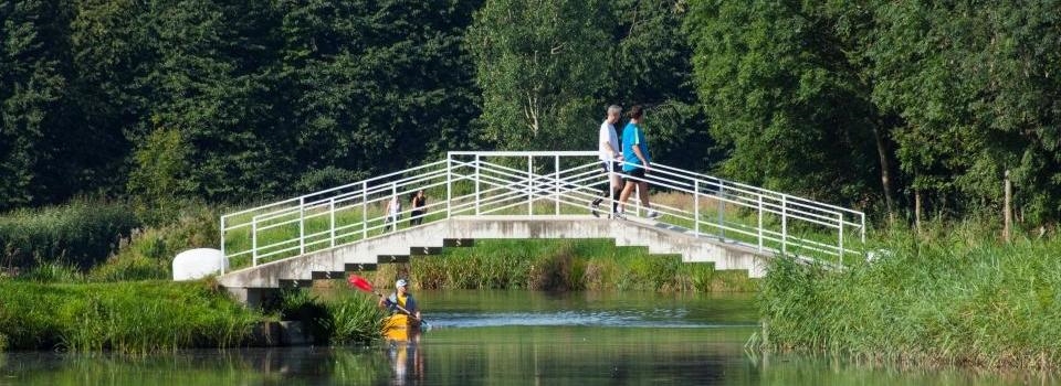 Ontdek het Hoge Bergse Bos