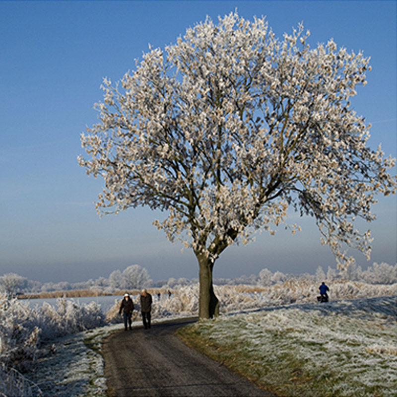 Wandelen